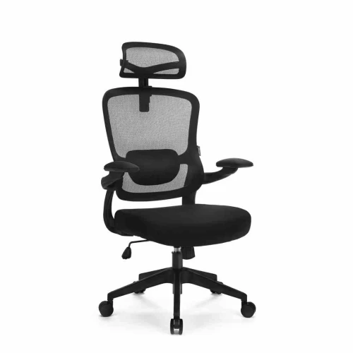 Fotel Ergo Basic